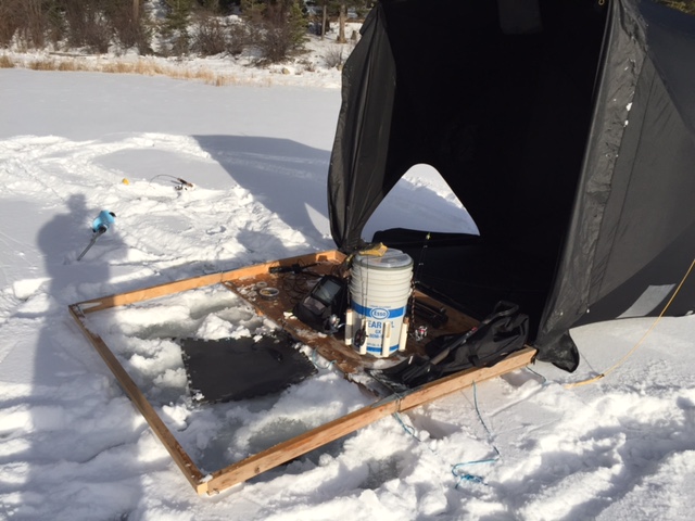 3E53816F-9635-4AED-80F6-1528B0214728