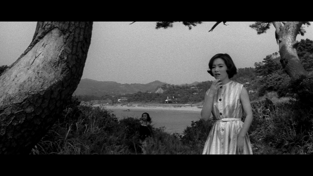 vlcsnap-2025-07-13-02h30m19s539