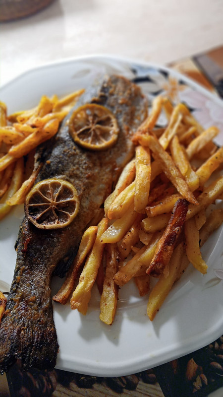 461695525_10229728256408059_7824754668947834152_n