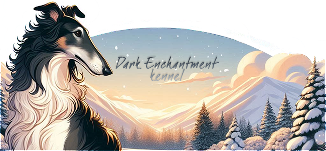 Dark Enchantment