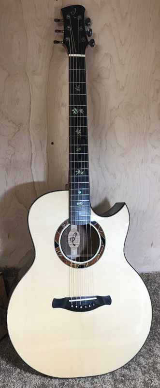 23.IrvinSJCutawayCustom.finished.top03