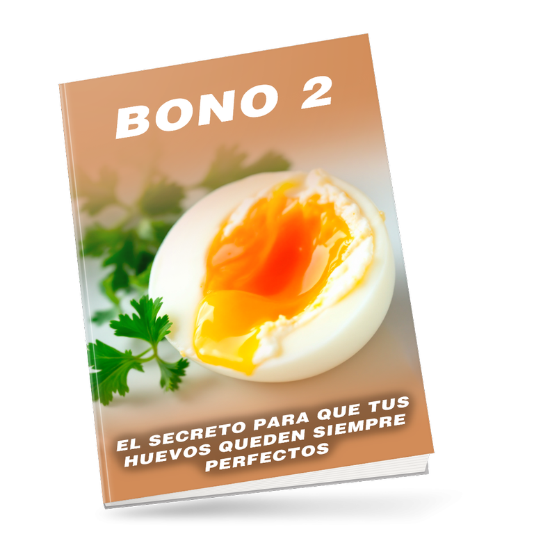 Bono 2