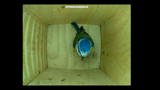 Untitled Project (Time 0_00_06;00)