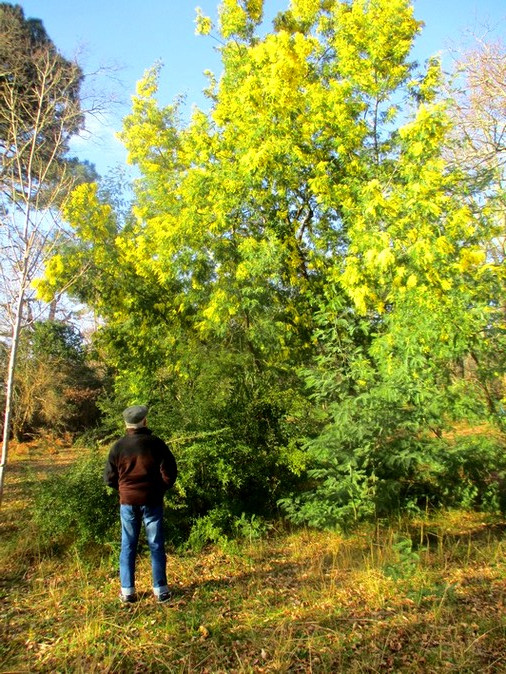 naturiste