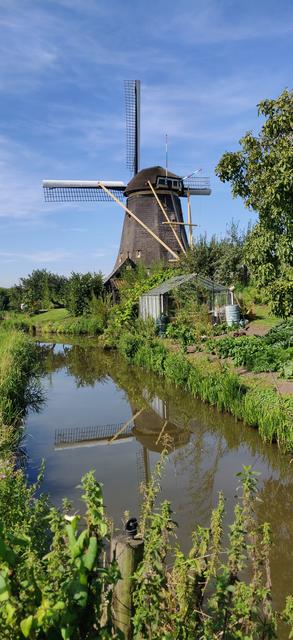 Quinto y último día: Kinderdijk y Rotterdam - Road Trip Holanda con niños (3)