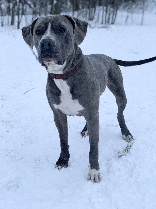 9BC9CB60-5030-4C67-AE2B-D8B4A965399C