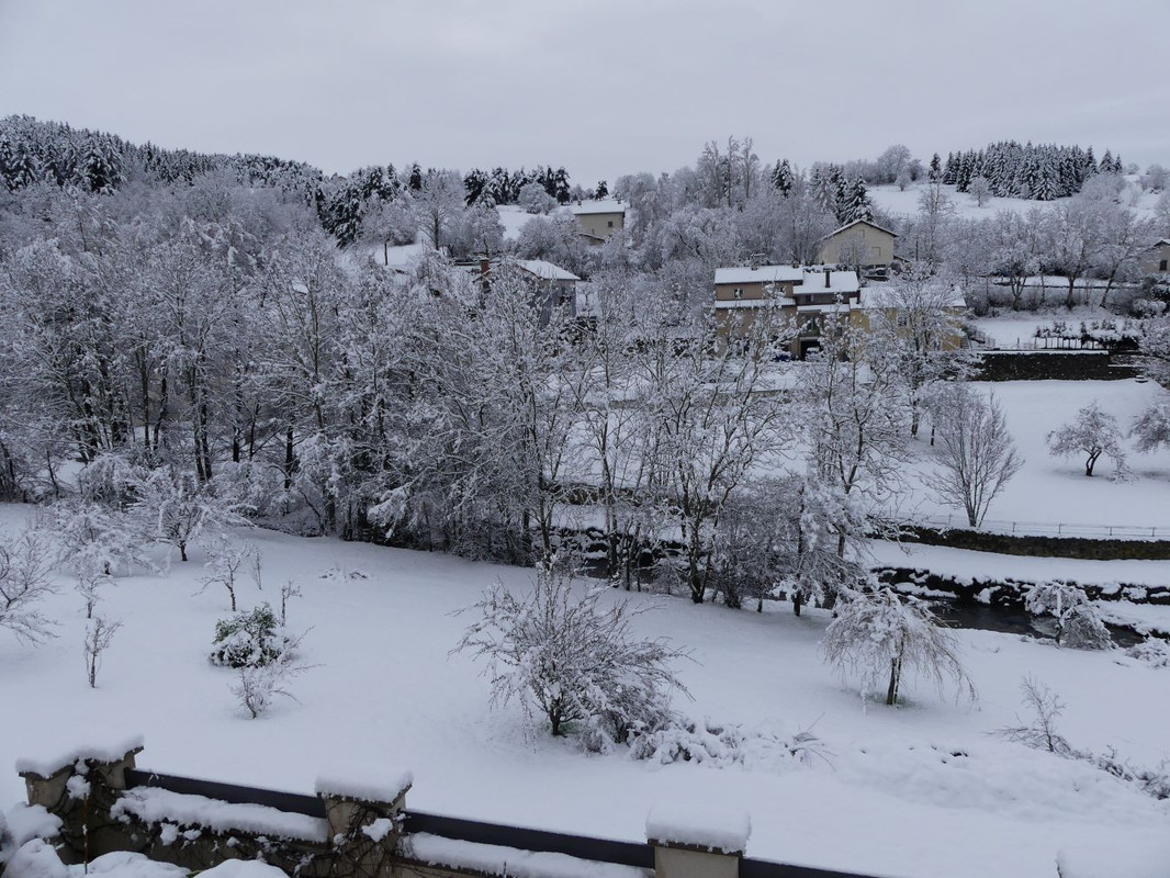 P1090500.jpg