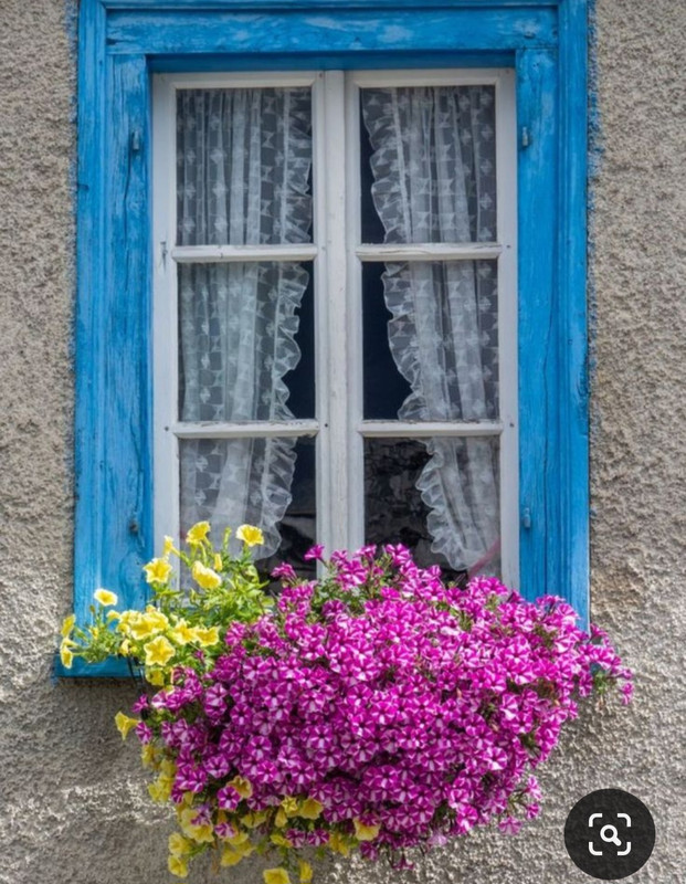 Screenshot_20240331_000533_Pinterest