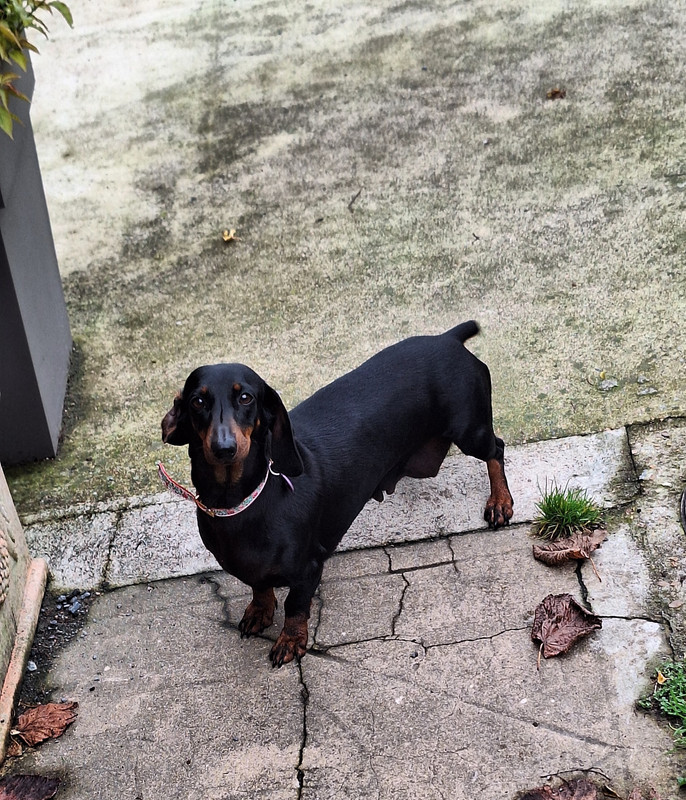 [Image: 20241027-145915.jpg]