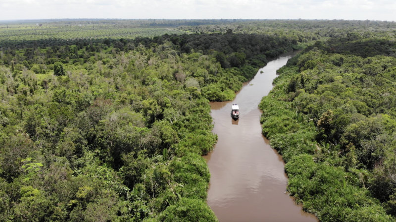 Singapur e Indonesia 2018 - Blogs de Indonesia - Borneo (P.N. Tanjung Puting) (6)