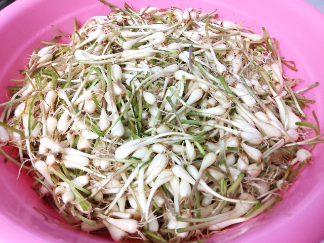 [Image: IMG-20200509-170833.jpg]