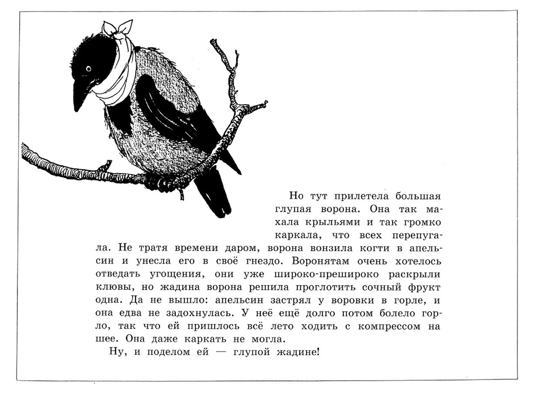 Солнечное яйцо - 2012-19