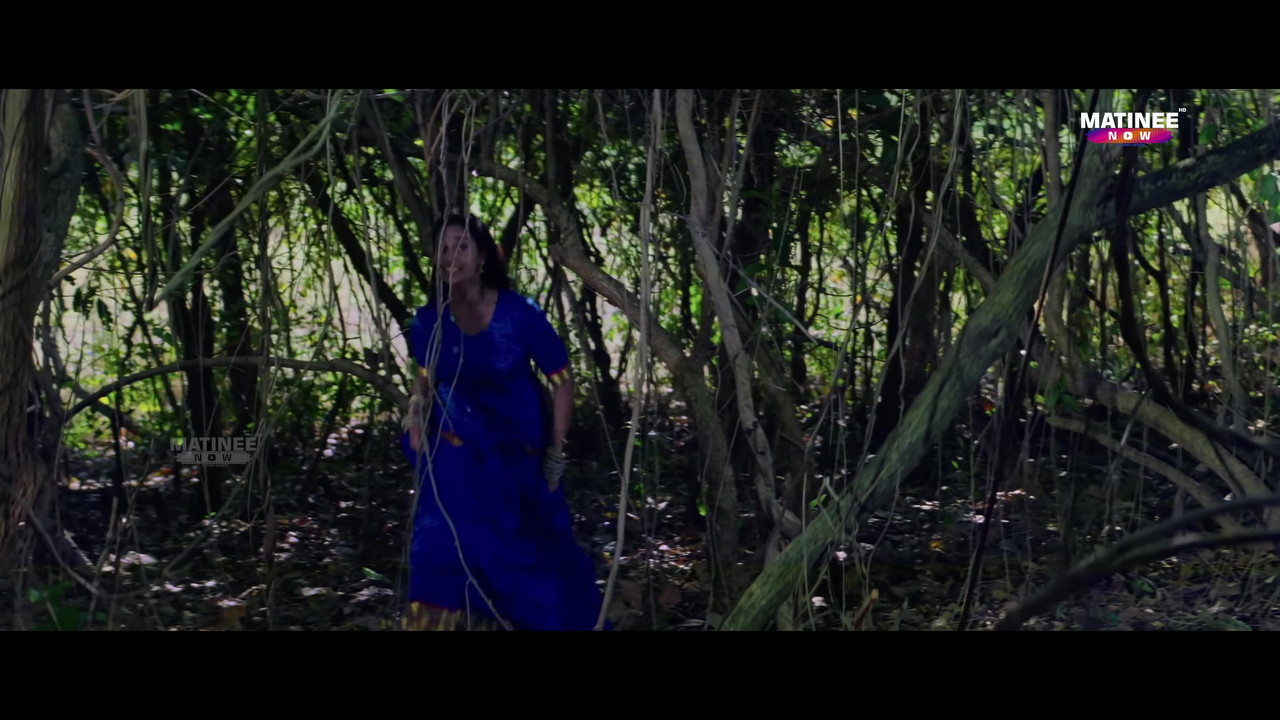 vlcsnap-2021-11-05-22h47m00s249