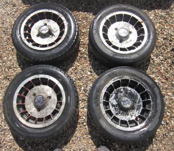 10404080_10205563770158513_2987791254276821277_n