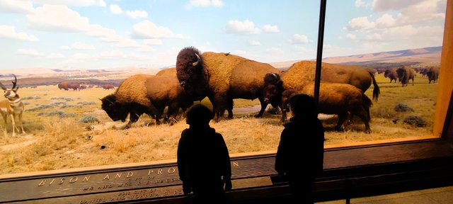 Vista icónica en Dumbo, bicis Central Park, Museo Historia y Little Italy - Nueva York y Cataratas del Niágara 2023 (31)