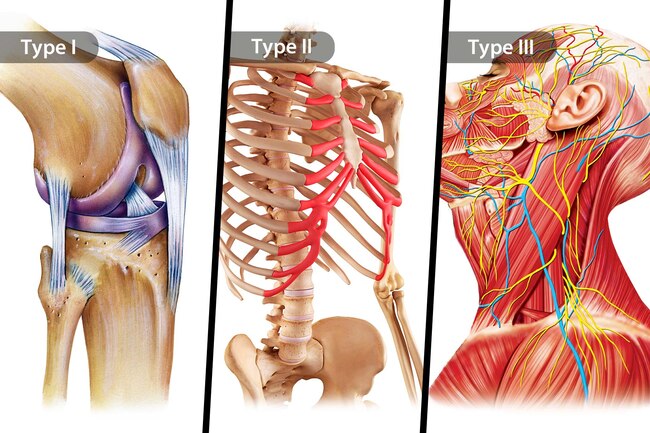 Tipovi kolagena za zglobove, kosti i mišiće