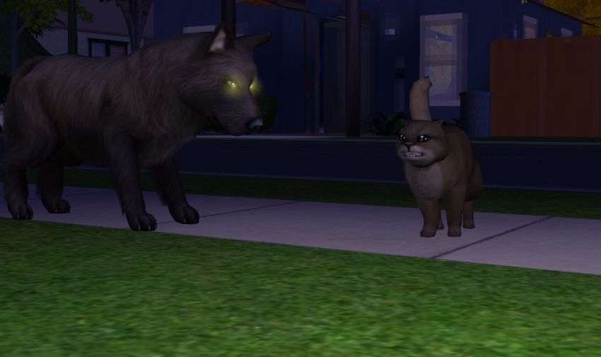 Sims2-EP9-2021-01-22-19-50-07-02