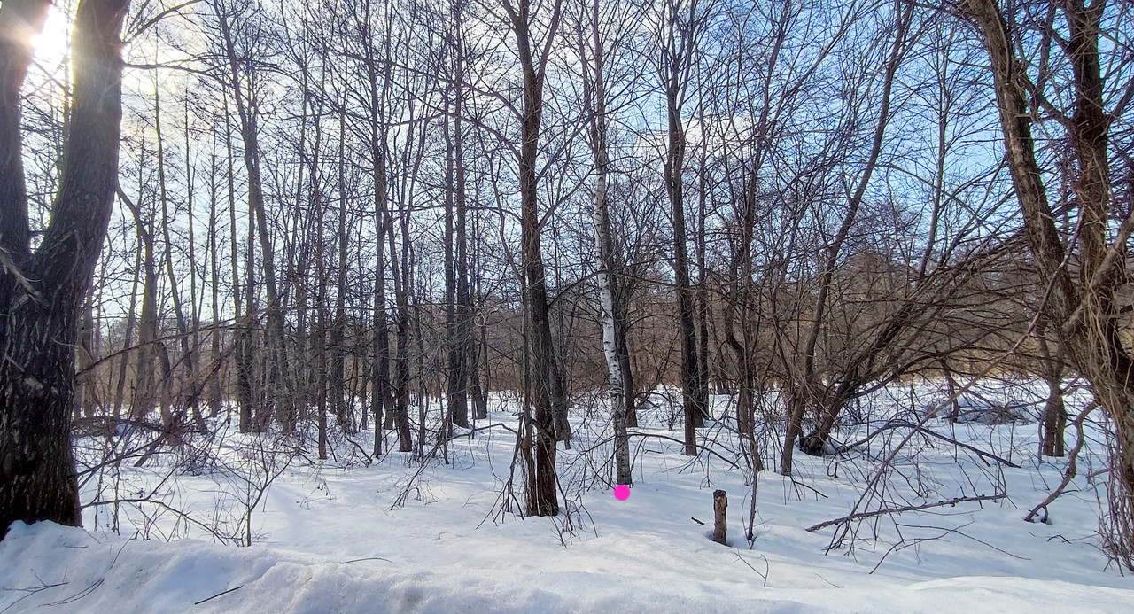 IMG 20260322 222135 cleaned