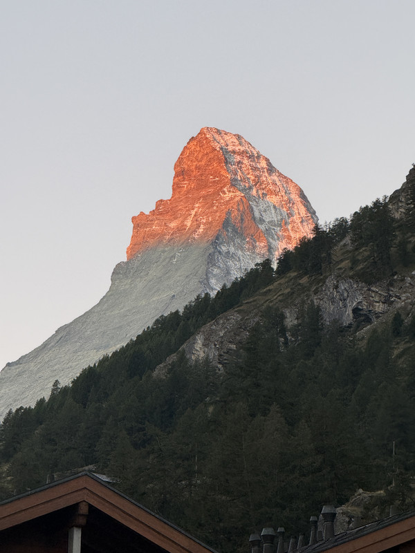 IMG-7011.jpg