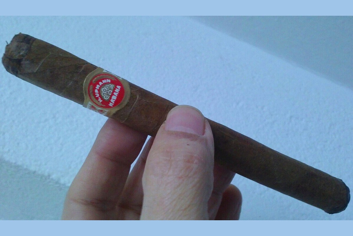 imageedit_1_6743730186