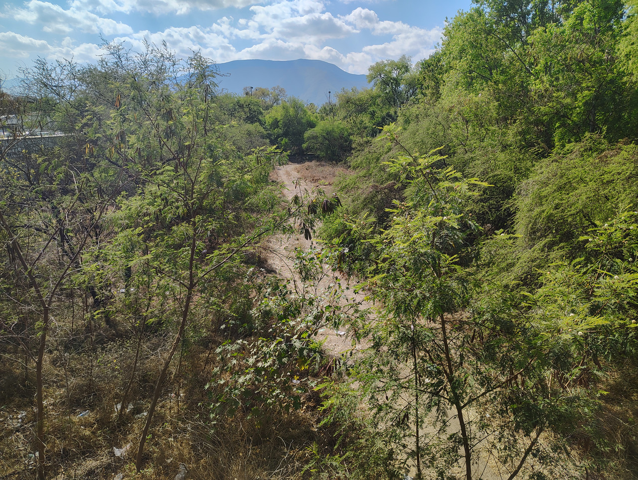 IMG 20260319 151535418 HDR