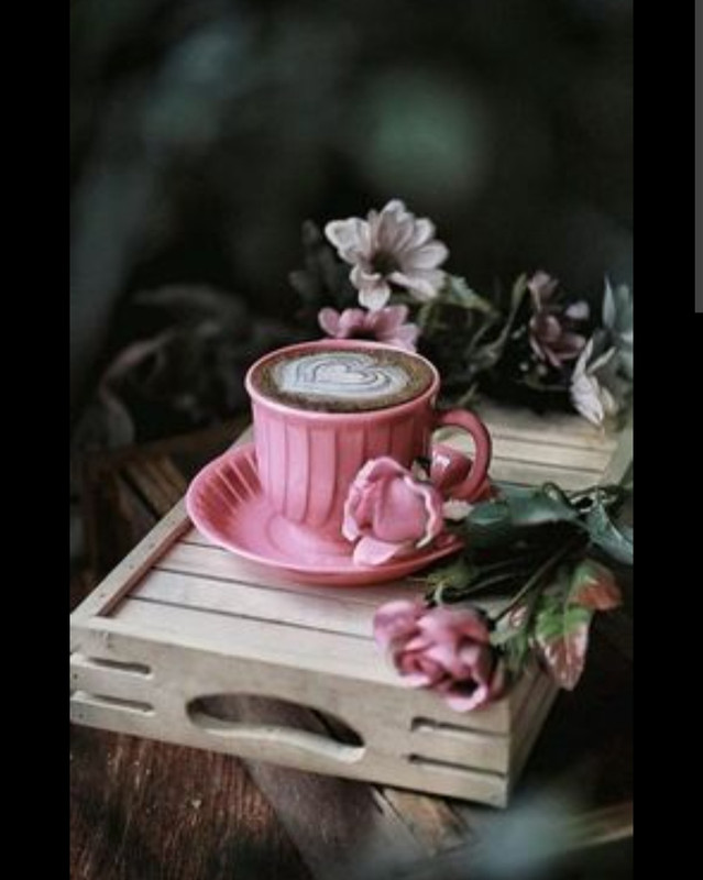 Screenshot_20221126-005612_Chrome