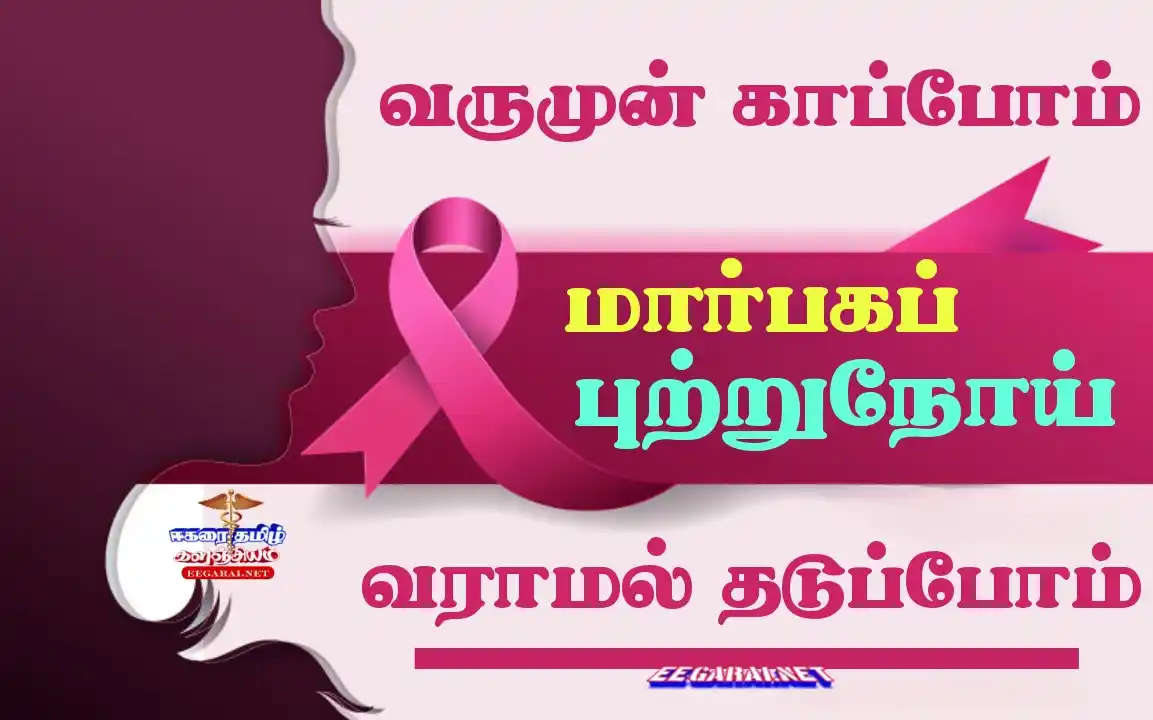 breast_cancer - மார்பகப் புற்றுநோய் குறித்து முழுதாக அறிந்து கொள்ளுங்கள்  Breast-cancer