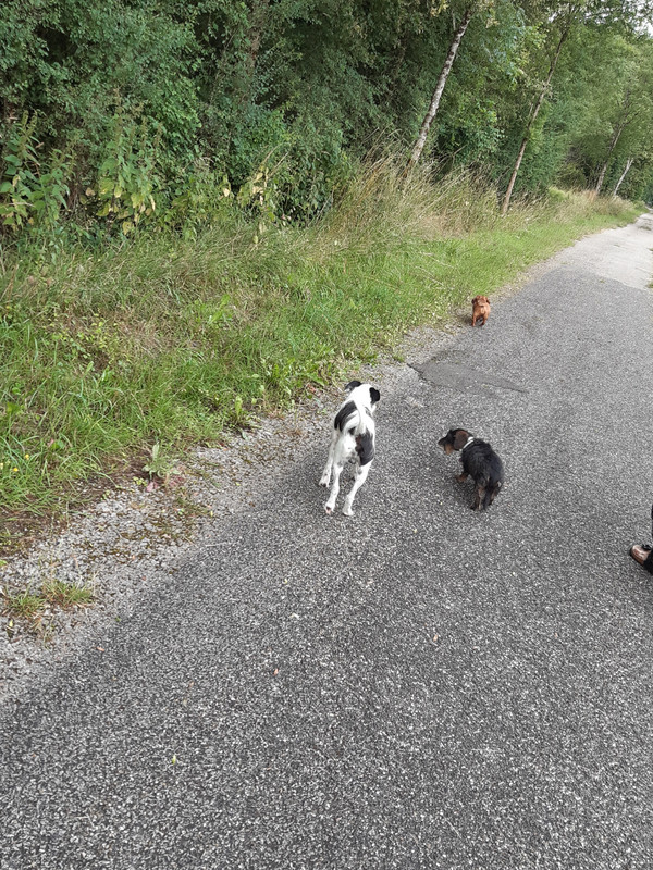 [Image: 20230701-081003.jpg]