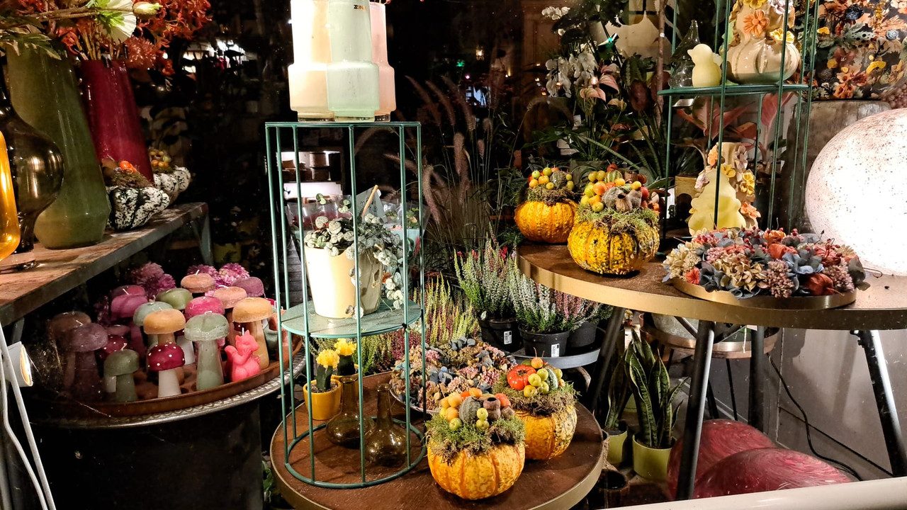 IMG-20240908-WA0026(1)