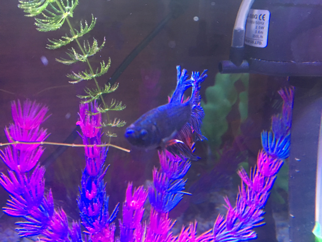 0614BCC3-3FEC-4B20-A332-F829A75BBAA7