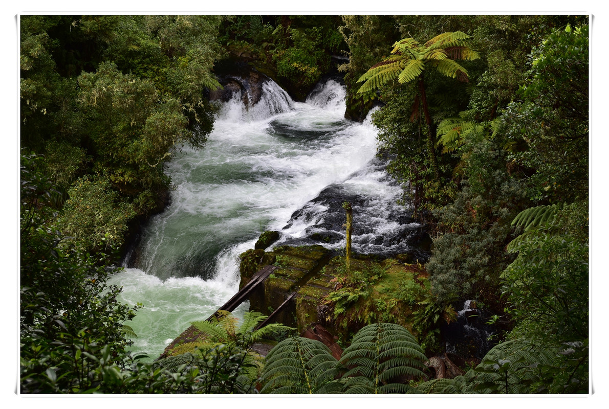 Cosas que hacer en Rotorua - Escapadas y rutas por la Nueva Zelanda menos conocida (27)