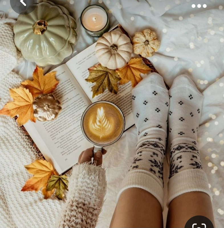 Screenshot_20231031_213720_Pinterest