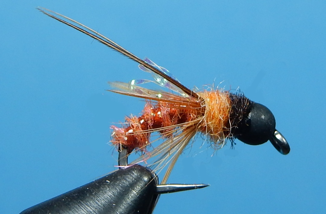 Morrish-Deep-October-Caddis-Variant-1080.jpg