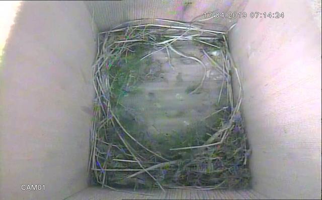 5F2F373E-B94D-458D-80B0-1121D6789865