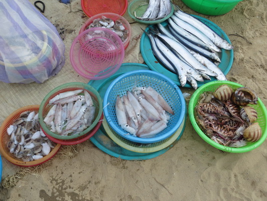 [Image: IMG-6320.jpg]