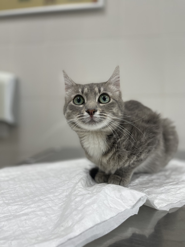 B4B9EE94-8219-4829-BC17-237D1962381A