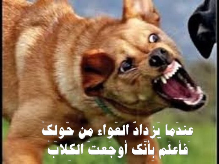 مشكـلـتي الرئيسية مع البطريرك الكـلـداني هـو إخـتـلـقـها ، وكانت عـن الهـوية الكـلـدانية 3awaa1