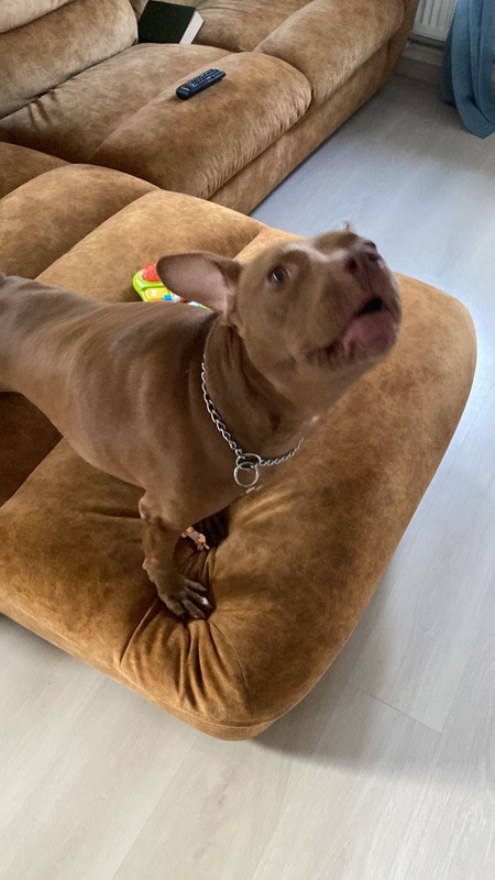 F3132718-3837-4BCA-93D3-8122CCE51D2D