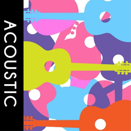 VA -  Playlist: Acoustic (2018) 