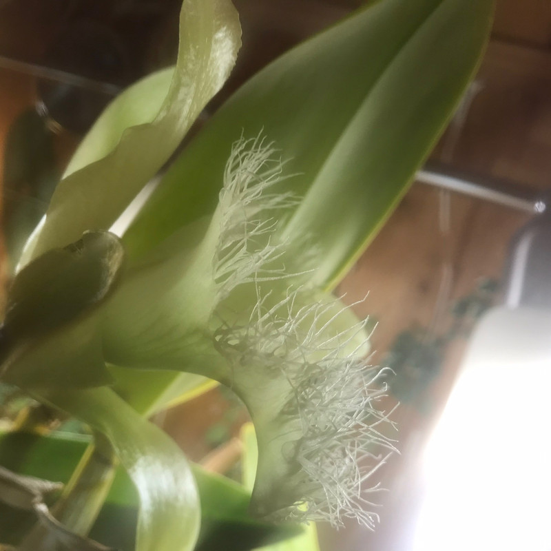 D869BF5B-8367-46A1-85F4-9D88D62C91CA