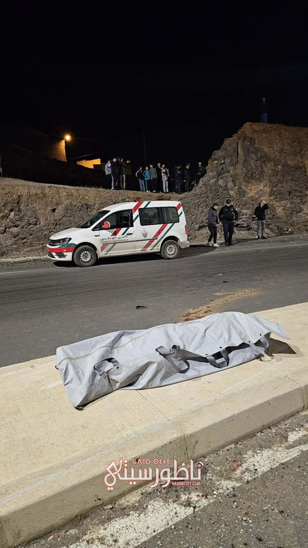 598340466-1234496525160910-8192631997959254002-n