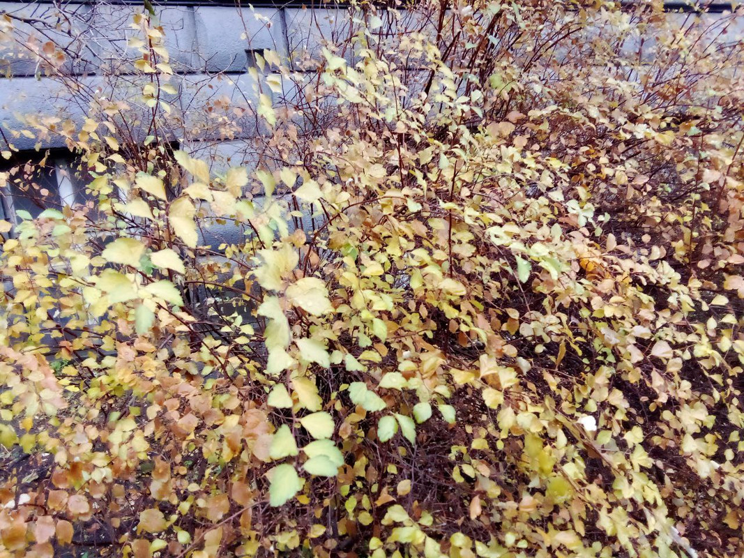 photo_2024-12-01 9.06.04 дп