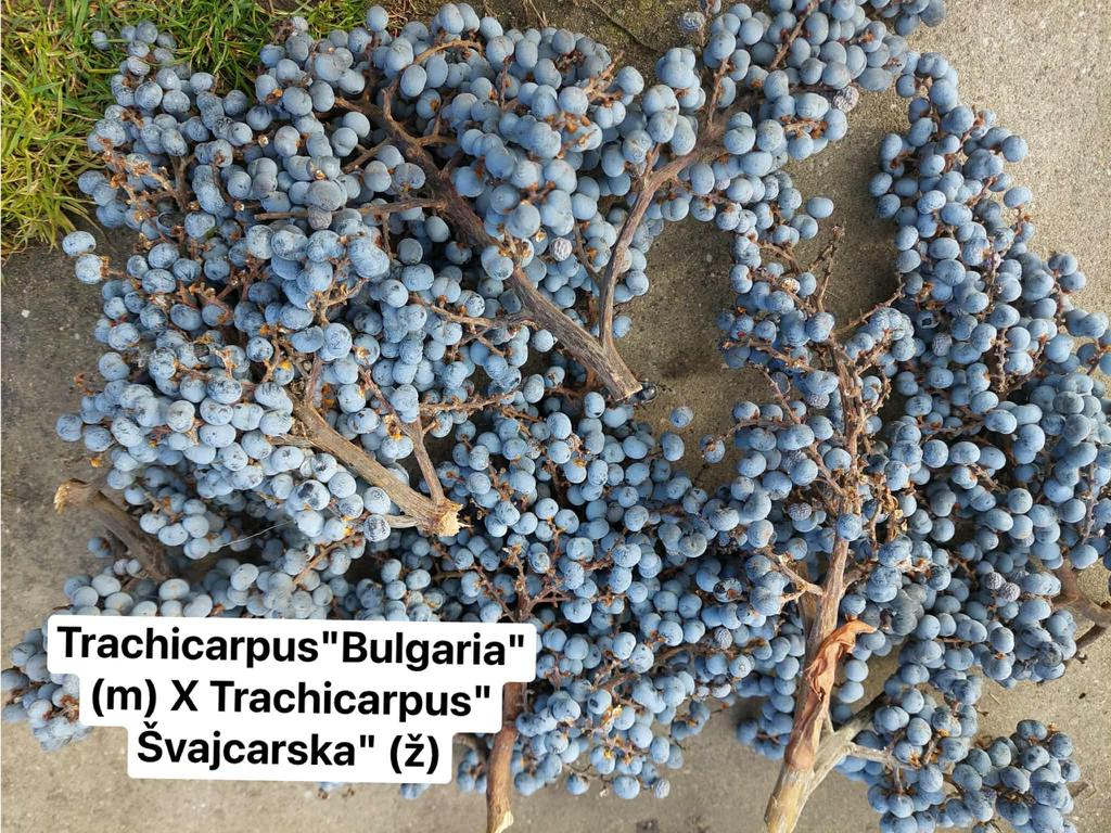 0fe9aa37 6926 4223 8306 b2bbbe2ddc42