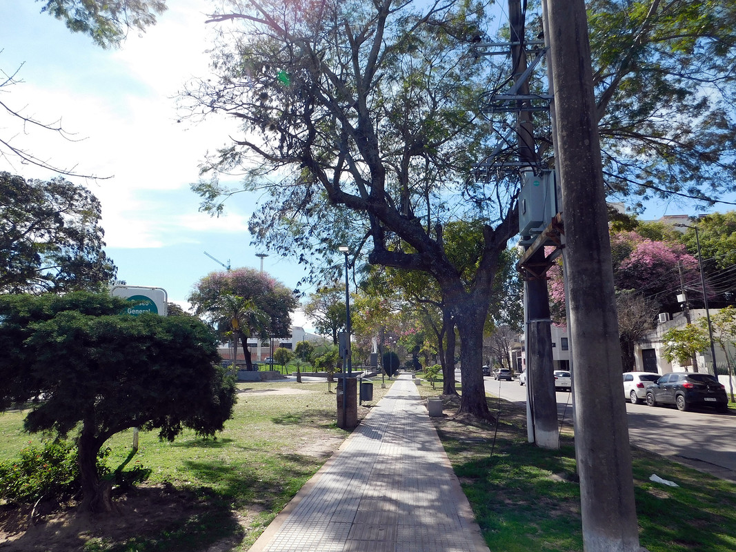 DSCN0021.jpg