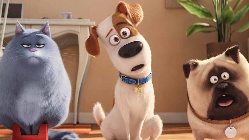 The Secret Life of Pets (2016) The Secret Life of Pets (2016)