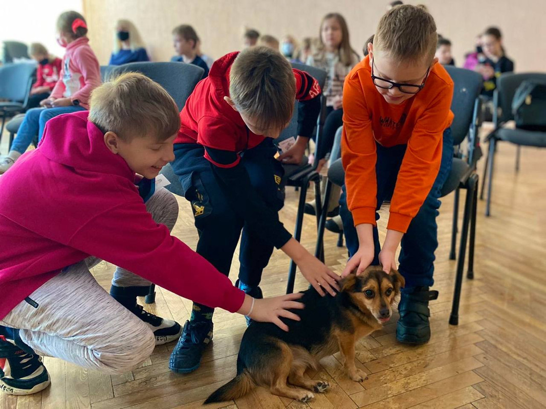 DD23E802-A827-4E28-A732-9F7B716127E7