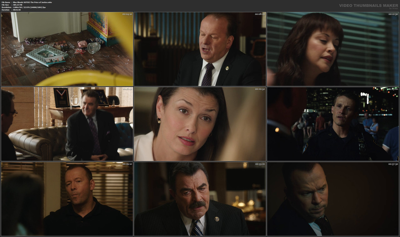 Blue Bloods S07E03 The Price of Justice.mkv