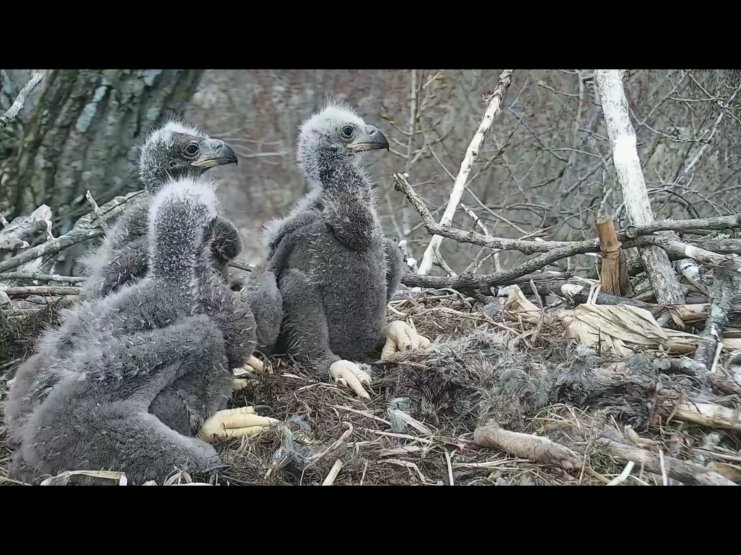 84FA6733-3121-4152-B7EF-203373FAE5F1