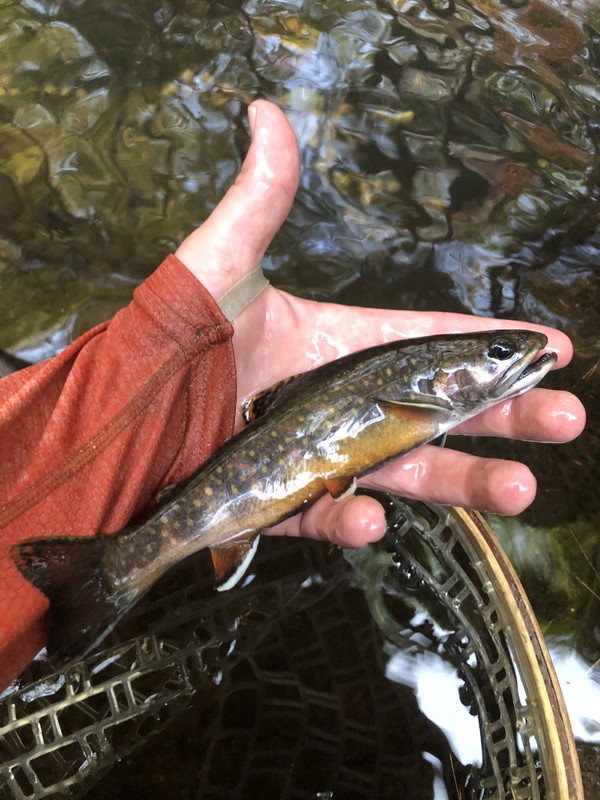 14430C0D-80F1-4A0A-BB72-CDA65DA143C0