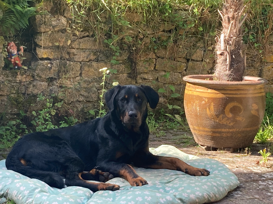 904FD5B8-D6D3-4A79-AC19-554E26BD2C6E